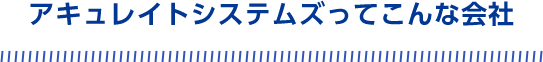 アキュレイトシステムズってこんな会社